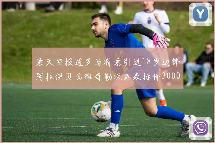 意天空报道罗马有意引进18岁边锋阿拉伊贝戈维奇勒沃库森标价3000万欧元